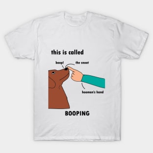 This is called Booping T-Shirt